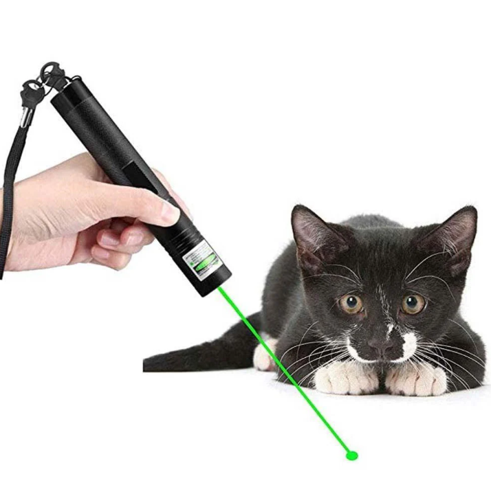 Professional dual beam laser pointer featuring bright green and red laser beams.