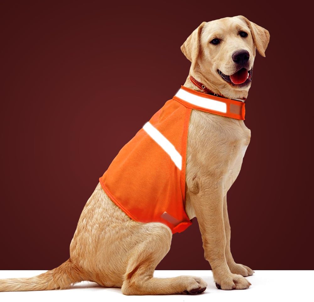 High visibility reflective dog safety vest, essential for safe night walking & outdoor adventures. Pet apparel.