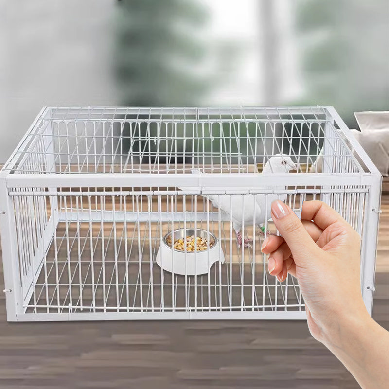 Humane bird trap with 2 entrances for safe, live capture & effective pest control in gardens & farms.