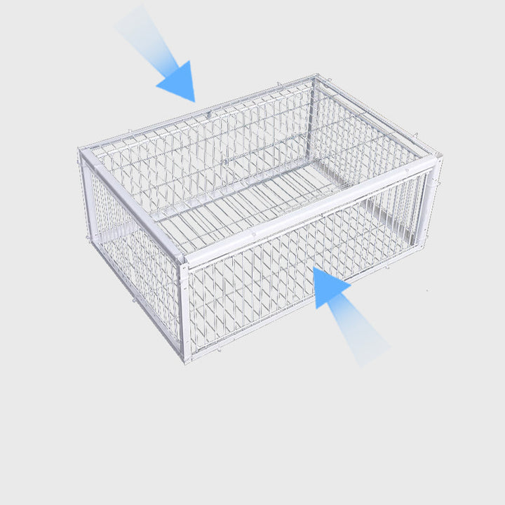 Safe, reusable humane bird trap for effective wildlife control and property protection in any outdoor setting.