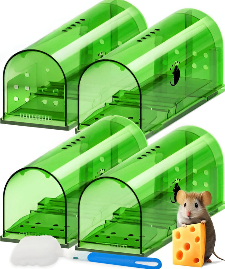 Humane mouse traps, 4-pack, for safe, no-kill live catch pest control. Reusable, animal-friendly rodent solution.
