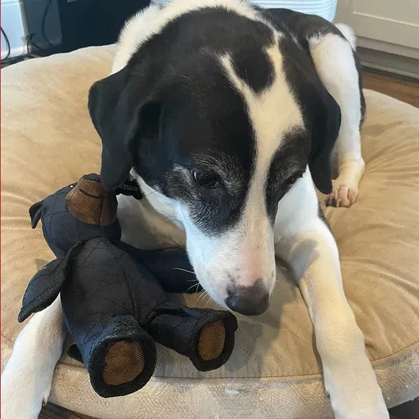 Tough bear dog toy, designed for heavy chewers. Indestructible interactive pet supplies for dogs.