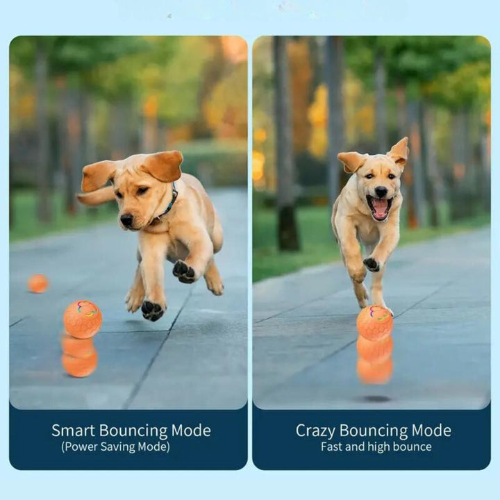 Engaging automatic dog toy ball, promotes active play and mental stimulation for dogs.