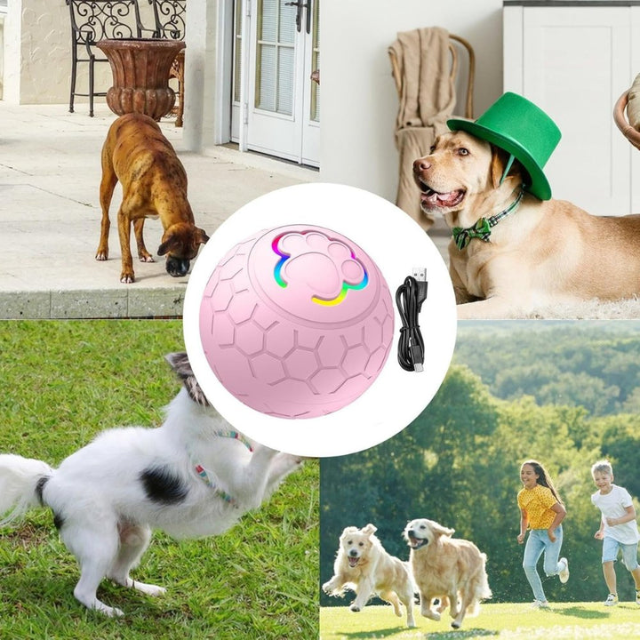 Bouncing interactive dog toy for fetch, a durable and waterproof option for active pets.