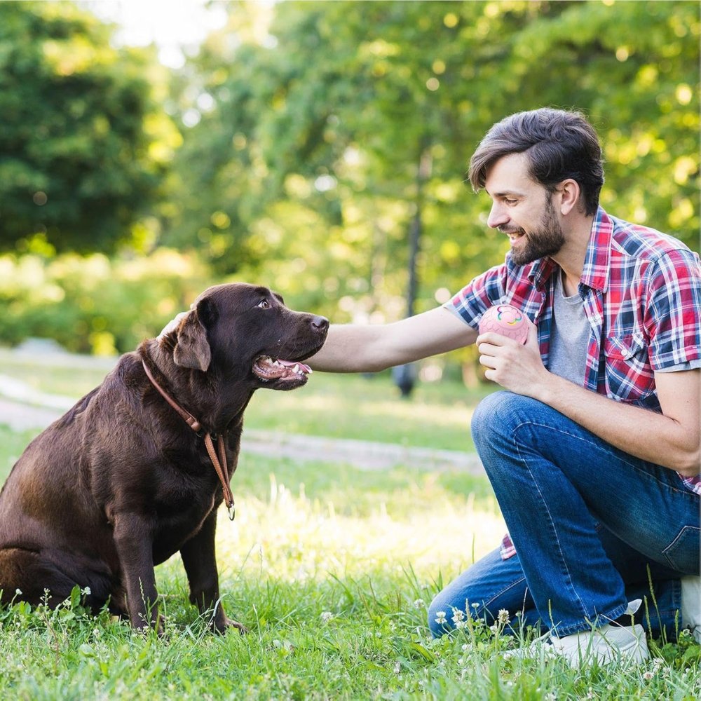 Automatic pet toy ball, designed for playful dogs, offering bouncing fun & enrichment.