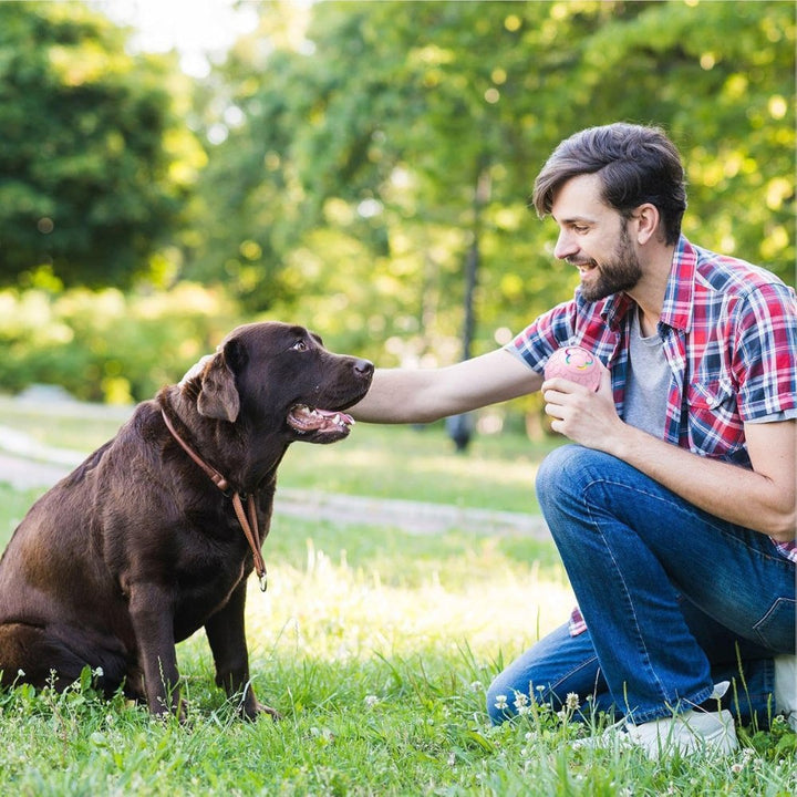 Automatic pet toy ball, designed for playful dogs, offering bouncing fun & enrichment.