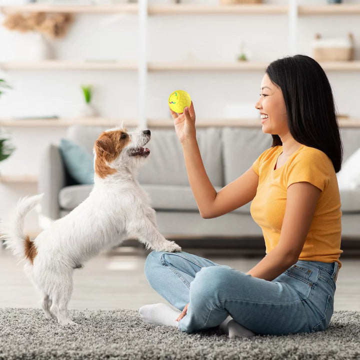 Interactive bouncing pet toy, an automatic ball for enriching outdoor dog fun and activity.
