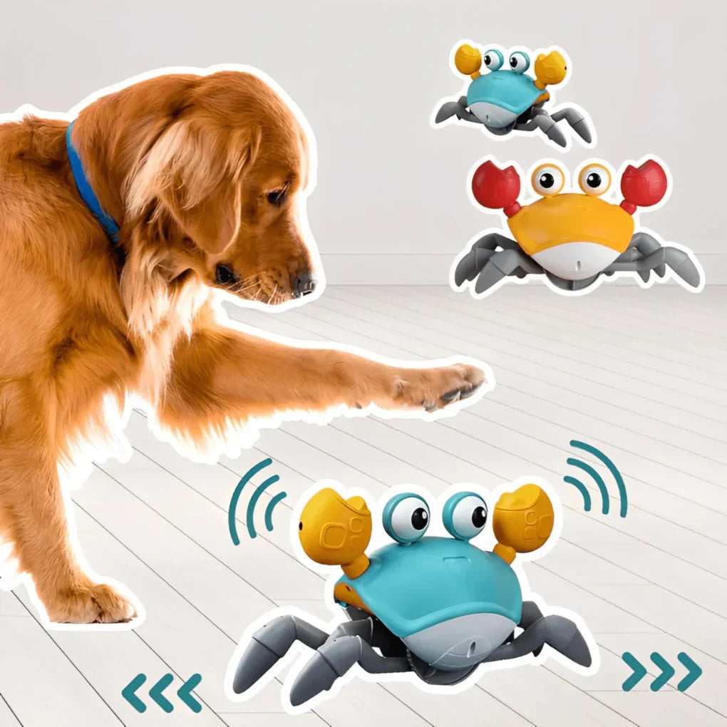 Vibrant blue & orange plush crab dog toy, soft & durable for interactive play. Fun pet accessory.