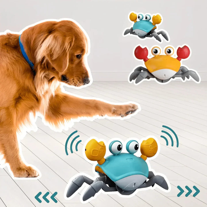 Vibrant blue & orange plush crab dog toy, soft & durable for interactive play. Fun pet accessory.