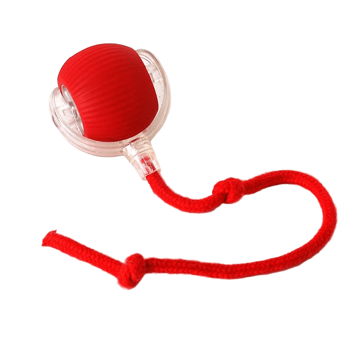 Durable TPR rubber interactive dog ball, automatic bouncing, a fun fetch toy for active pets.
