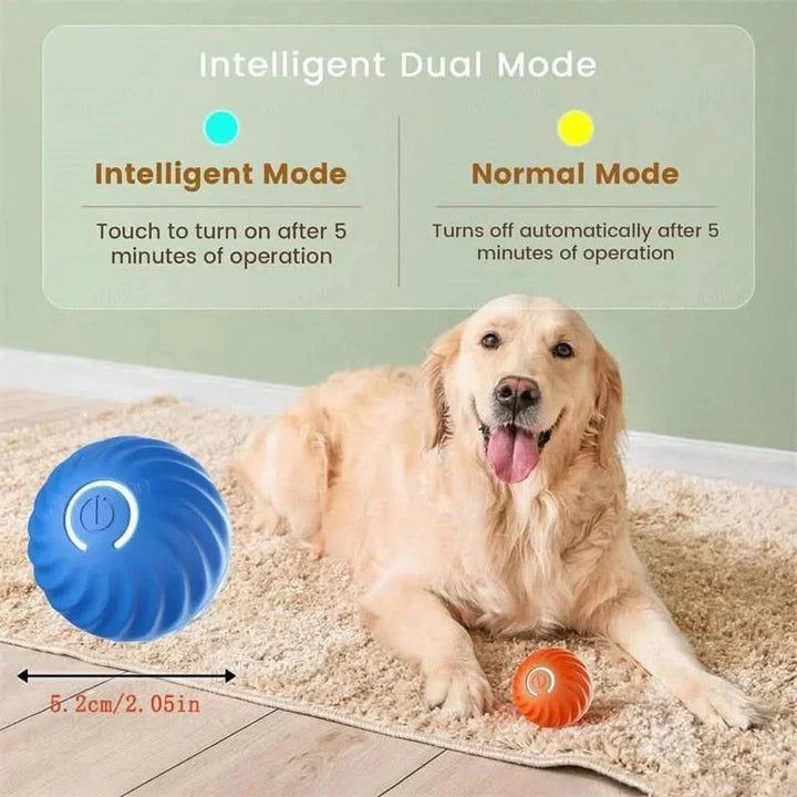 Interactive dog ball, TPR rubber, bouncing, rechargeable, perfect for puppy training & exercise.