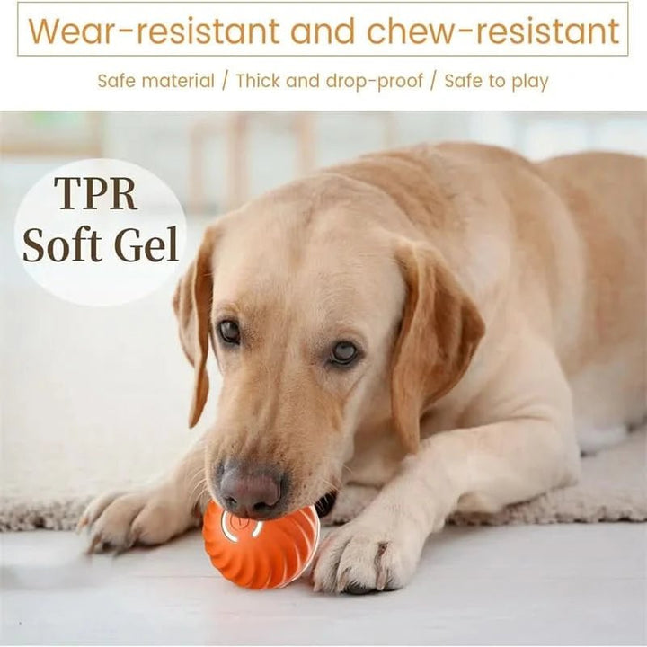 Rechargeable pet toy, interactive dog ball, automatic bouncing, encouraging healthy movement.
