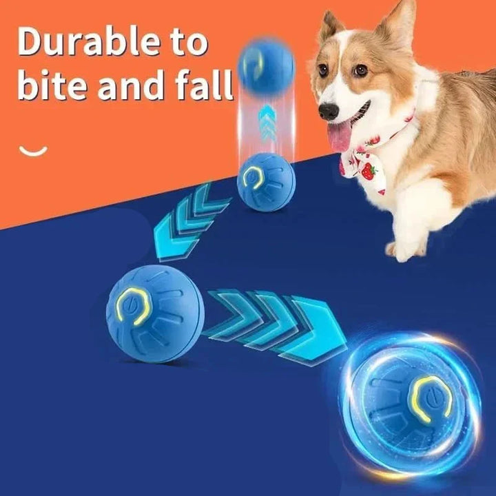 Durable TPR rubber interactive dog ball, automatic bouncing, engaging toy for dog exercise.