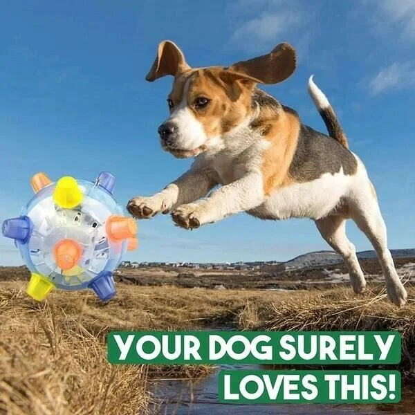 Happy dog playing indoors with an automatic interactive jumping ball, excellent pet exercise toy.