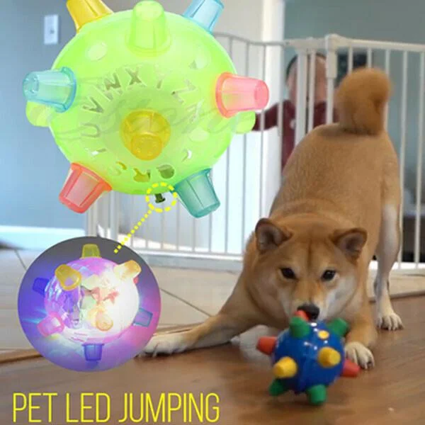 Stimulating giggling ball for dogs, an automatic wiggling pet toy for exercise & mental enrichment.