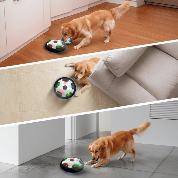 Engaging dog toy ball for active play. This durable pet toy provides mental stimulation & exercise for puppies & dogs.