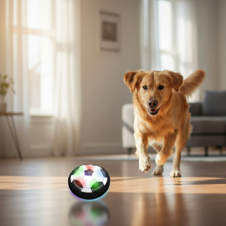 Interactive pet play ball designed for active dogs. Provides mental stimulation and fun exercise for puppies & adults.