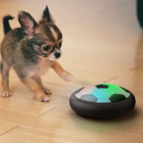 Multi-functional dog toy ball for mental engagement & active play. Durable interactive toy encourages exercise for all dogs.