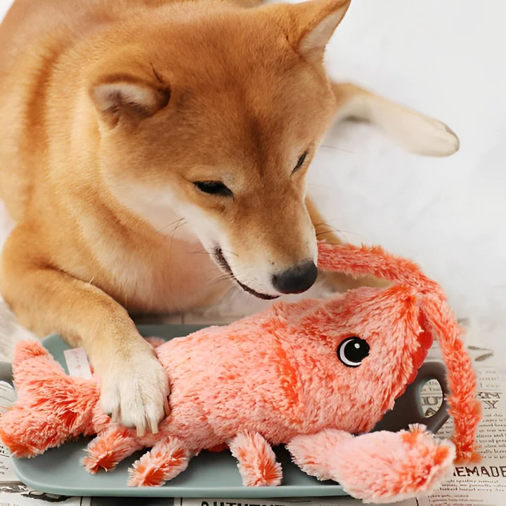 Interactive floppy lobster dog toy for playful pups; durable chew toy for active pets.