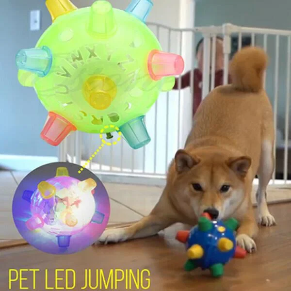 Fun activation jumping ball dog toy, encourages exercise & interactive play for energetic pets.