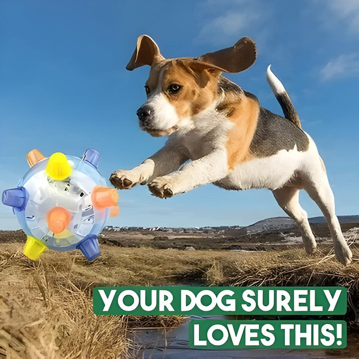 Durable, non-toxic LED dog ball toy for safe, active play. Interactive bouncing design keeps pets entertained.