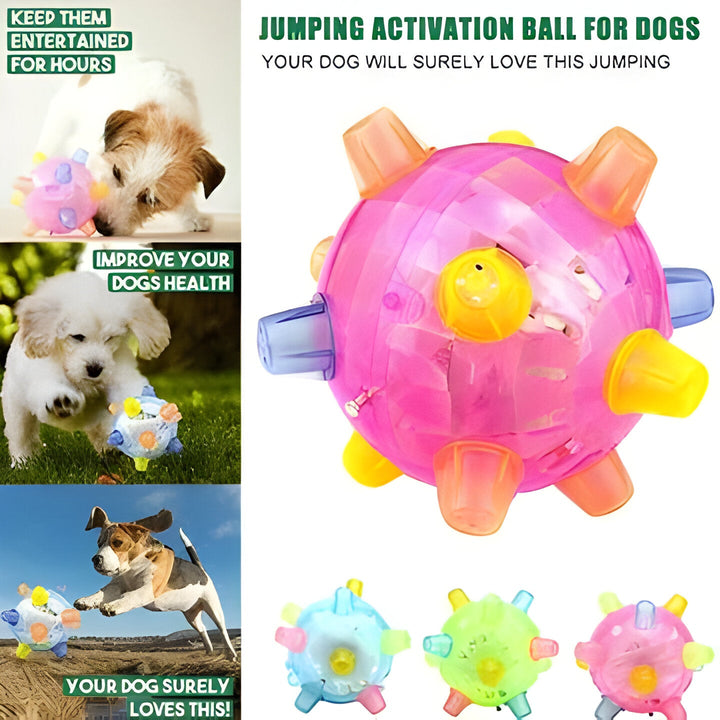 Happy dog playing with a bright, bouncing LED activation ball toy. Promotes active play & mental enrichment.