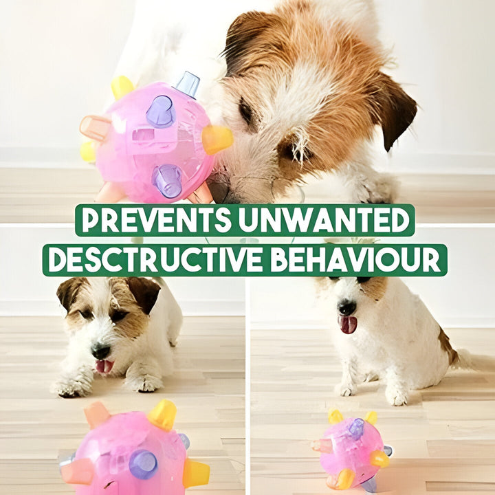 Engaging interactive LED dog toy ball encourages active play & exercise. Durable, bouncing design for pet health.