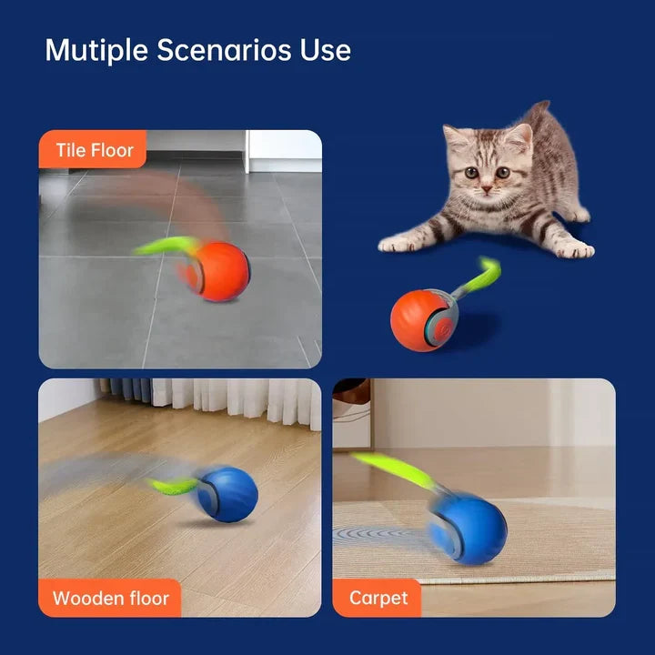 Energize your kitten with this interactive rechargeable cat toy for active play.