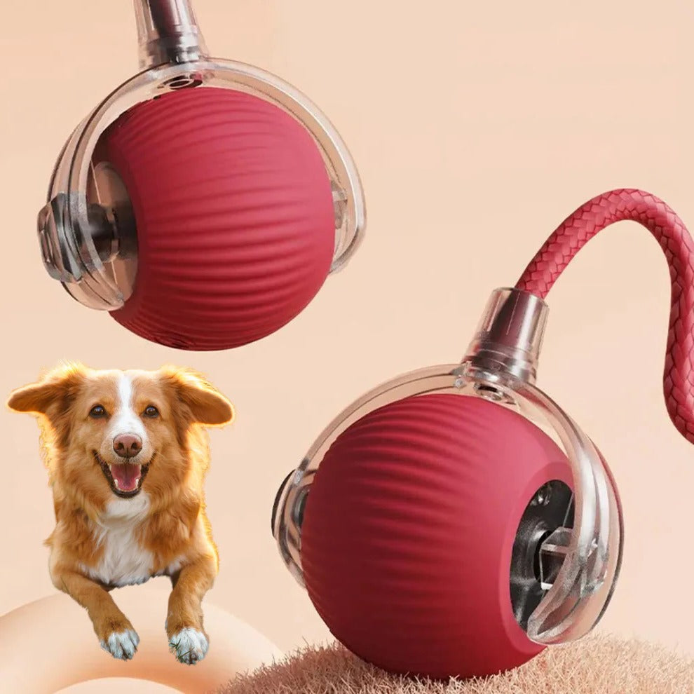 Interactive rolling ball dog toy with a tail, perfect for active play, enrichment, and mental stimulation.
