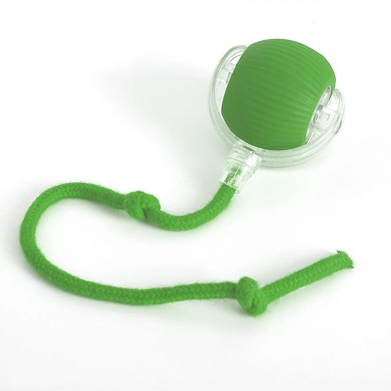Durable interactive rolling ball dog toy featuring a tail, ideal for active dogs and puppies' playtime.