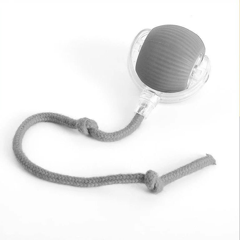 Engaging pet accessory: a rolling ball dog toy with a tail designed for active, interactive indoor play.
