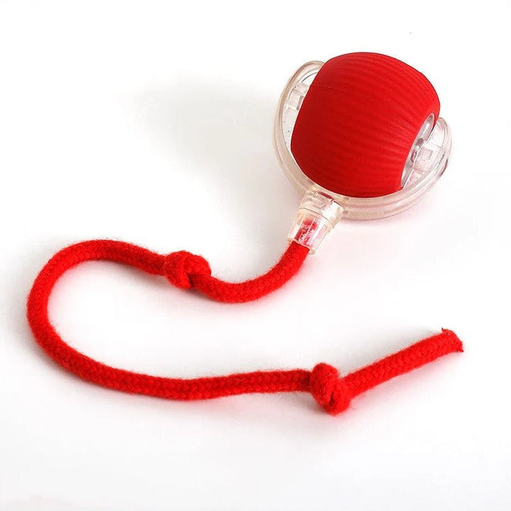 Indoor dog toy: an interactive rolling ball with a tail, perfect for stimulating active play and fun.