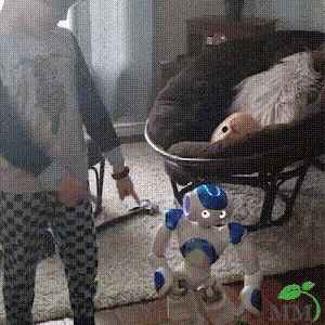 High-tech interactive robot for kids, combining gesture & voice control.