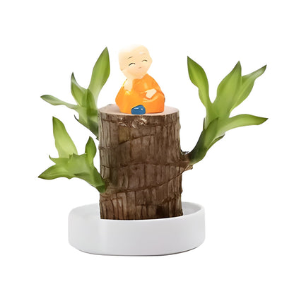 Lucky Brazilian Wood Plant, an easy care air purifier for indoor spaces. Perfect low maintenance houseplant.
