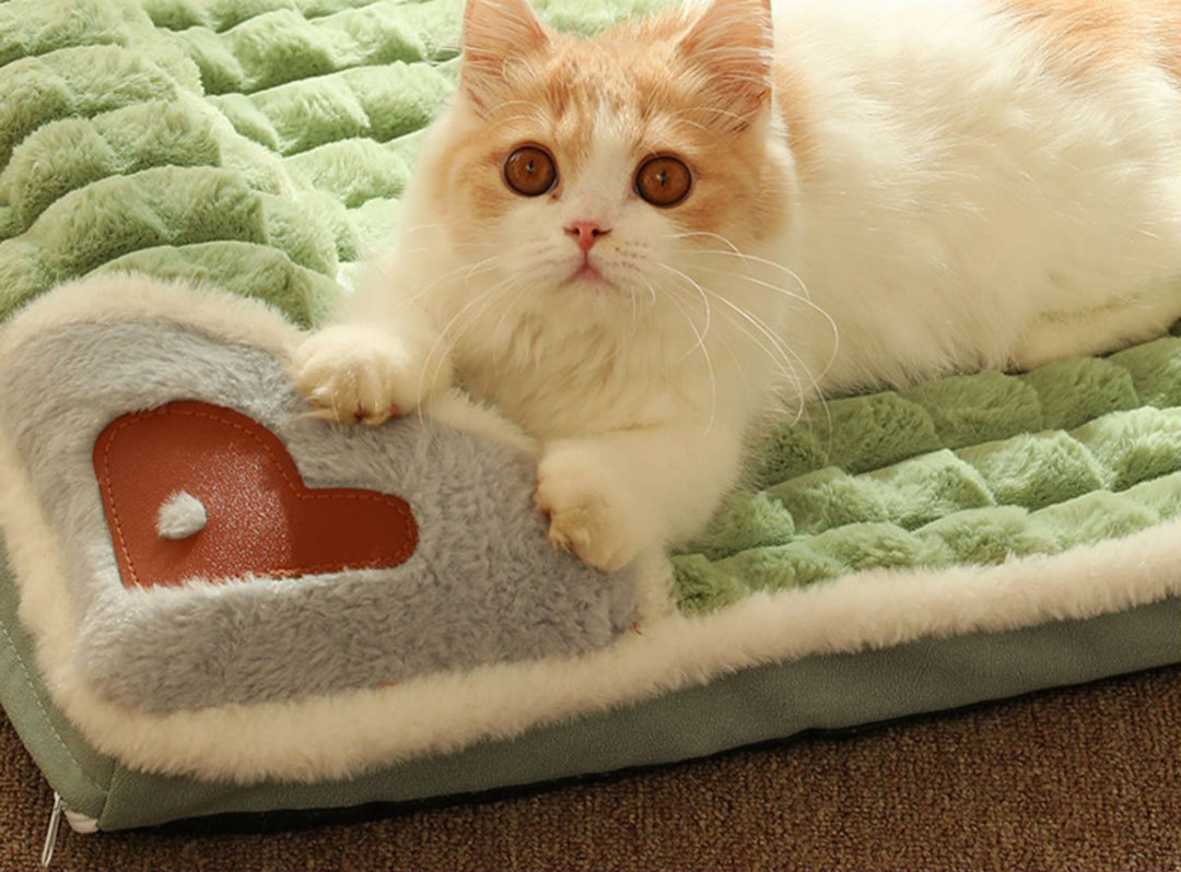 Plush warm fleece pet bed, perfect dog mat or cat sofa for cozy winter comfort.
