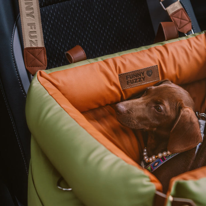Durable dog car seat, easy to install for secure car travel.