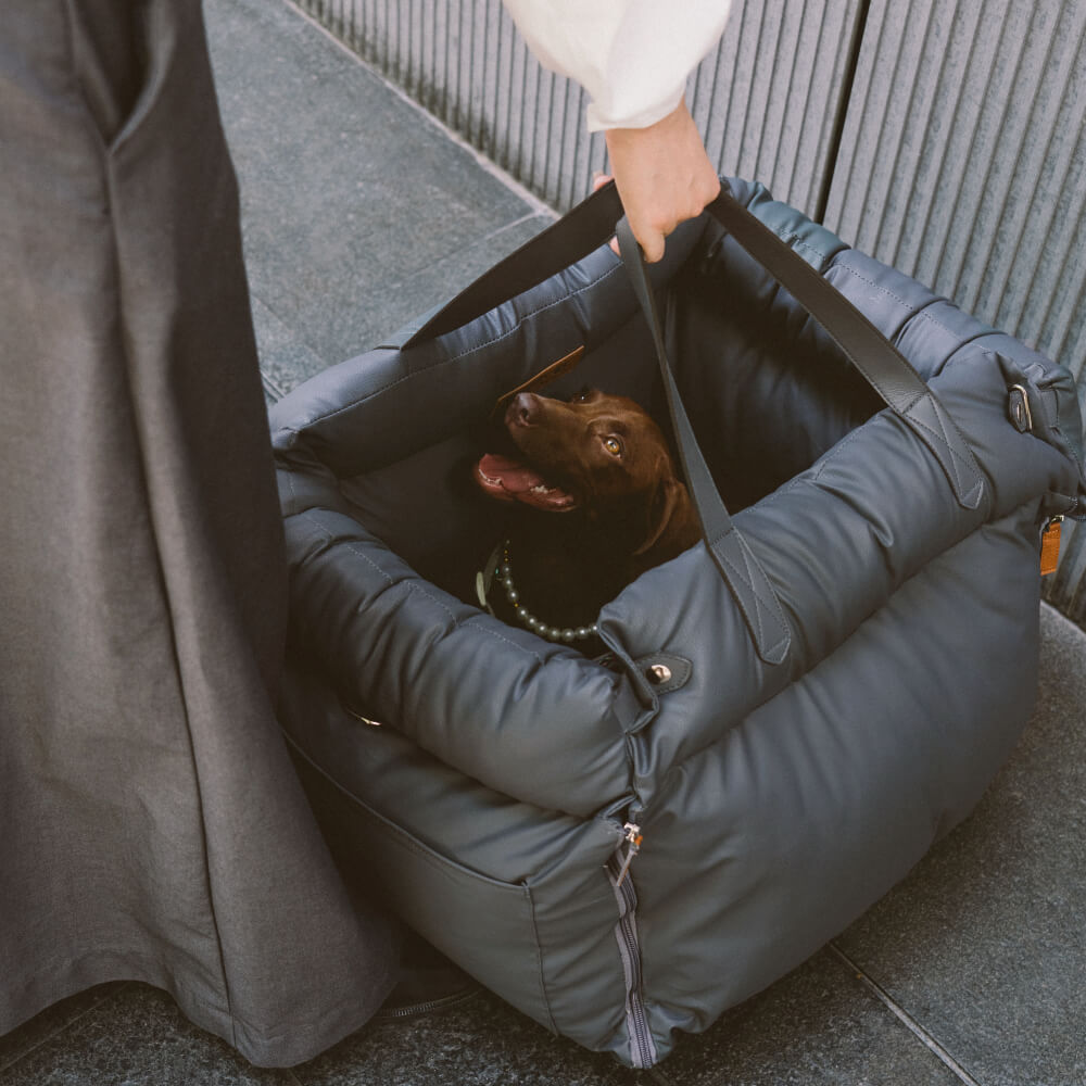 Comfortable dog booster, a perfect pet accessory for long trips.