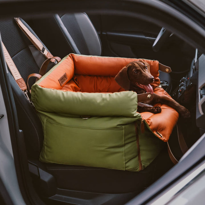 Comfortable pet booster seat ensures canine safety during car travel.