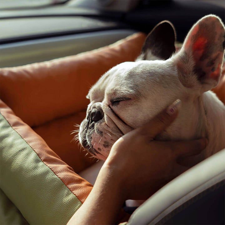 Safe dog travel bed, perfect for front or back seat installation.