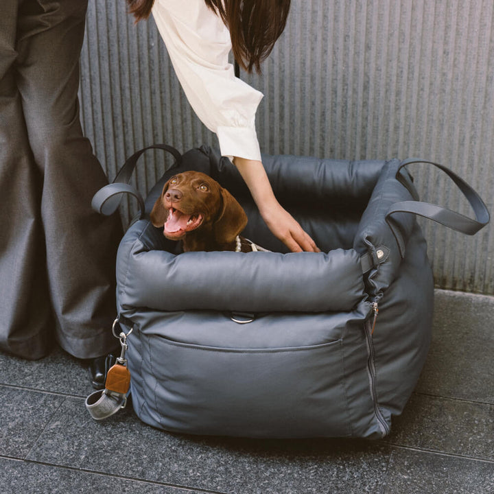 Secure pet carrier for car, offering comfort and safety on every trip.