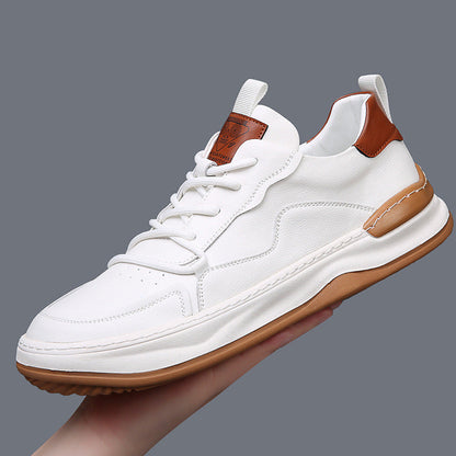 Men's stylish casual sneakers, comfortable design for modern everyday walking.