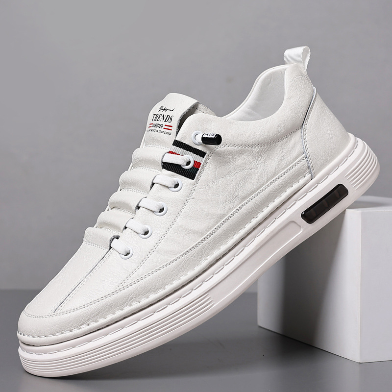 Modern men's low-top sneakers, designed for comfort & durability, suitable for casual & urban outfits.