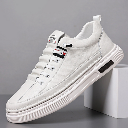 Modern men's low-top sneakers, designed for comfort & durability, suitable for casual & urban outfits.