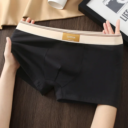 Active men's boxer briefs, no-roll 3-pack featuring sweat-wicking fabric for all-day comfort.