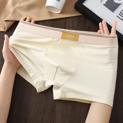 Comfortable men's apparel: a 3-pack of mid-rise, no-roll boxer briefs, ideal for daily and active wear.