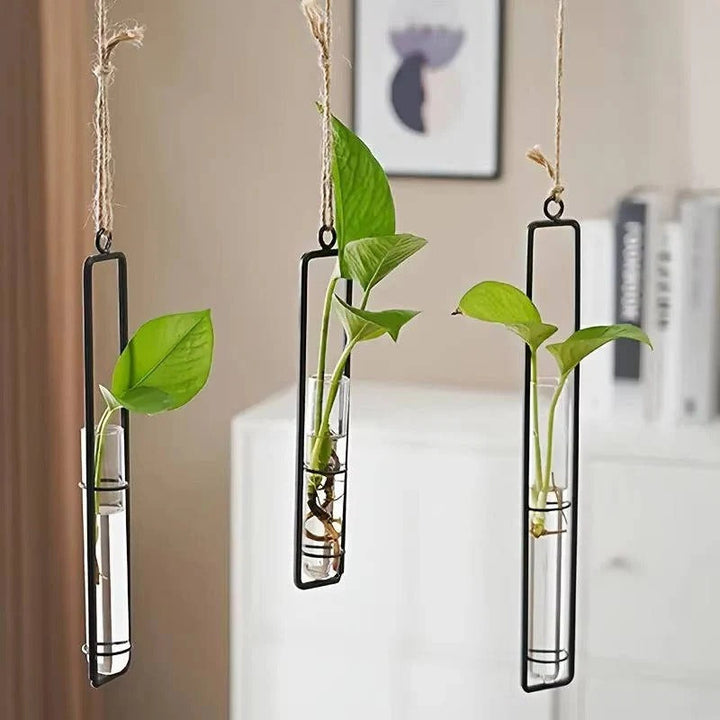 Unisex clear glass tube wall planter set. Ideal for propagating plant cuttings, modern indoor vertical garden.