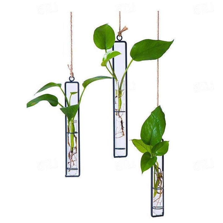Hanging glass tube planter set for plant propagation. Aesthetic wall decor for indoor plants & botanical cuttings.