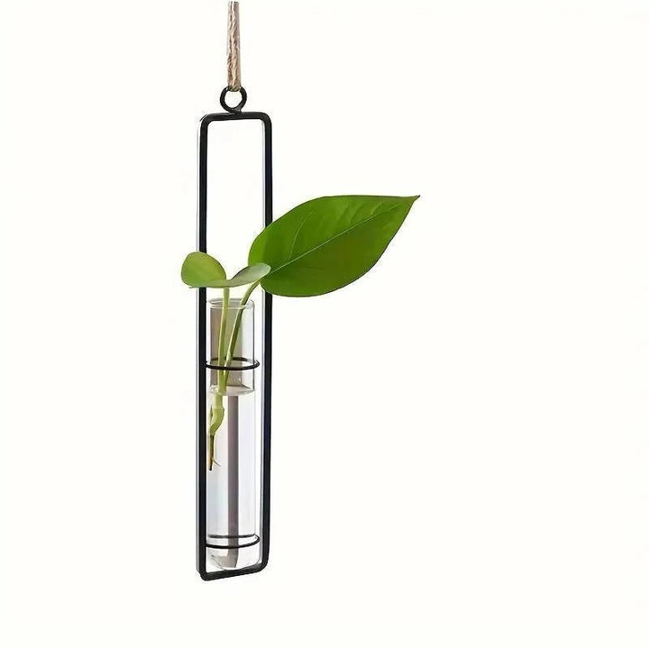 Set of modern hanging glass tube planters, perfect for plant cuttings & propagating succulents. Chic home wall decor.