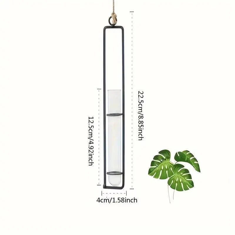 Elegant glass tube wall planter set for botanical display. Ideal for propagating plant cuttings & modern home decor.
