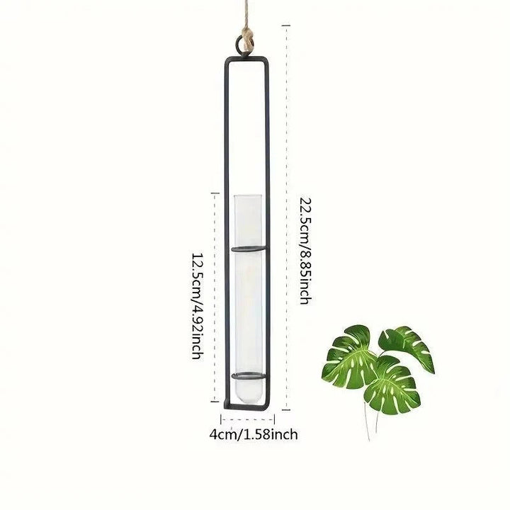 Elegant glass tube wall planter set for botanical display. Ideal for propagating plant cuttings & modern home decor.